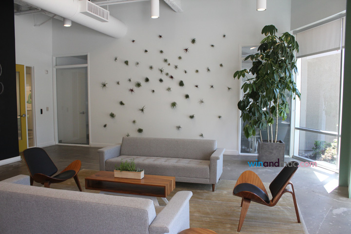 evernote-walnut-street-us-by-winandmac-5