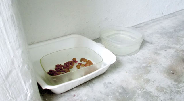 Screen-Shot-2015-05-17-at-8.20.14-AM