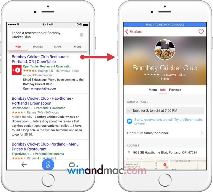 google-search-app-content