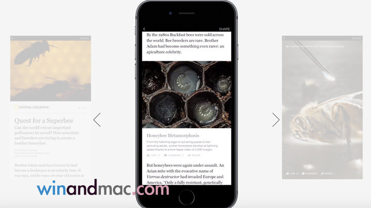 facebook-instant-articles-selection