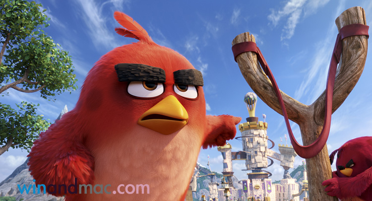 the-angry-birds-movie-hk-3