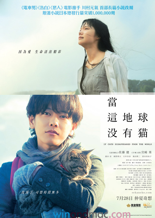 cat-disappeared-movie