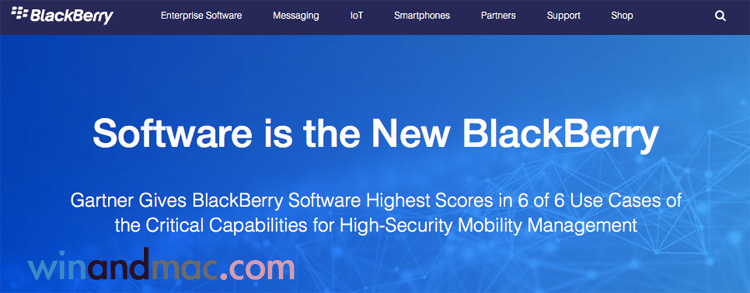 blackberry-software-only
