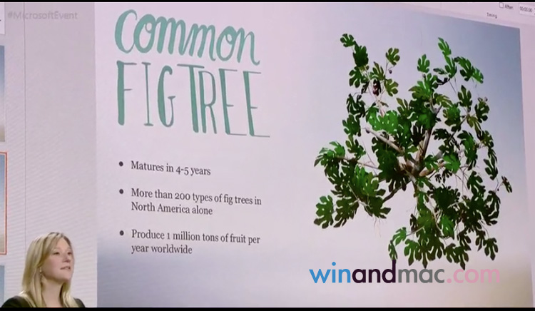 windows-10-creator-update-201610-5