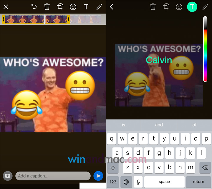 whatsapp-gif-support-2