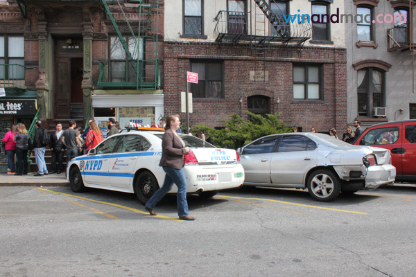 lil-bub-us-exclusive-interview10