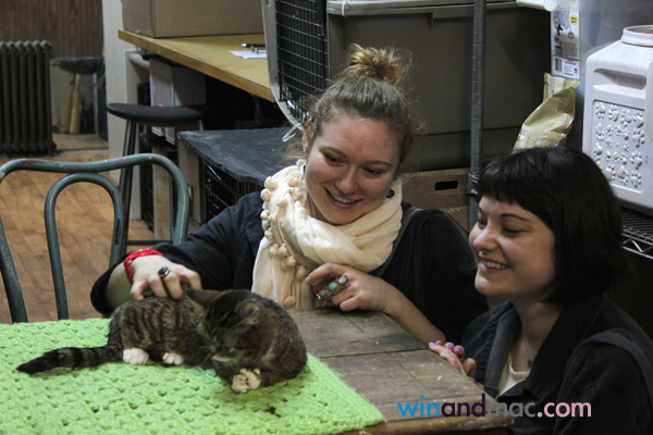 lil-bub-us-exclusive-interview11