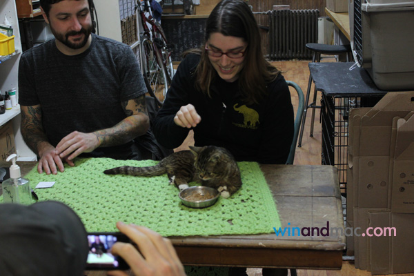 lil-bub-us-exclusive-interview12