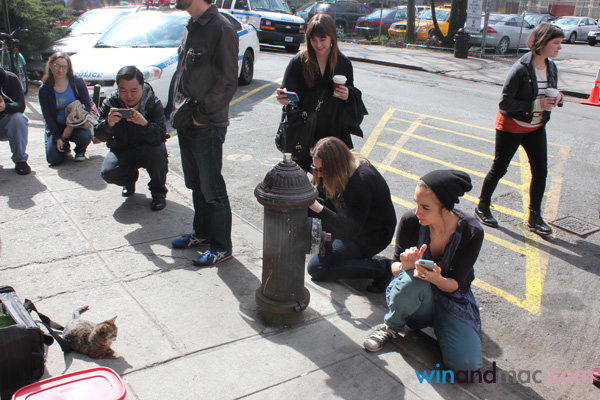 lil-bub-us-exclusive-interview6