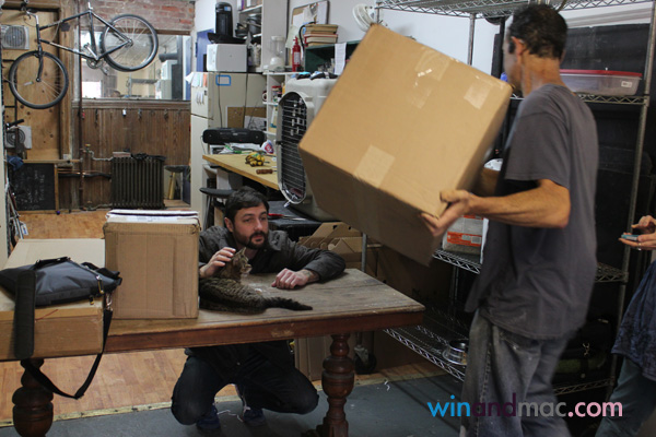 lil-bub-us-exclusive-interview7