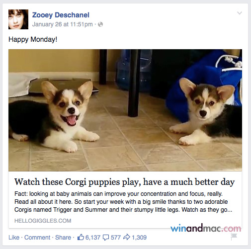 zooey-deschanel-facebook