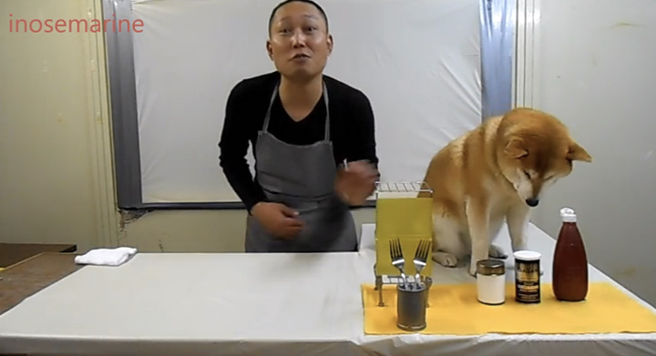 dog-chef