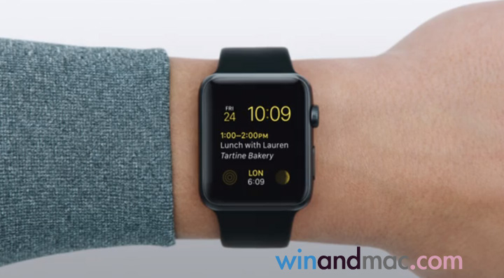apple-watch-wrist