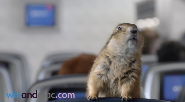 delta-safety-video-internet