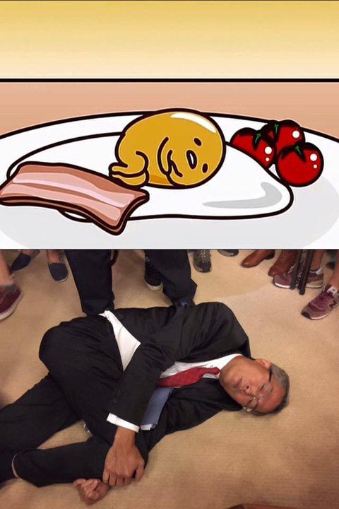 11760160_10207207037324845_1162815683761344346_n