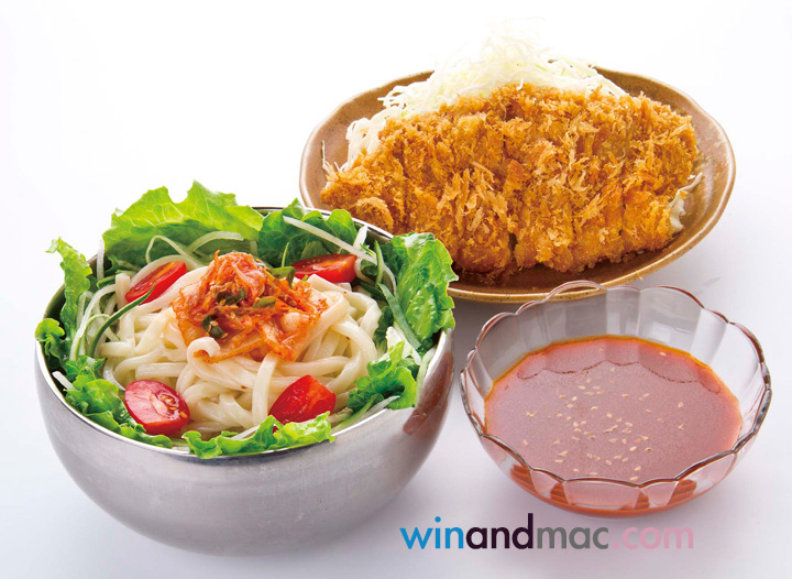 catuya-wudon-japanese