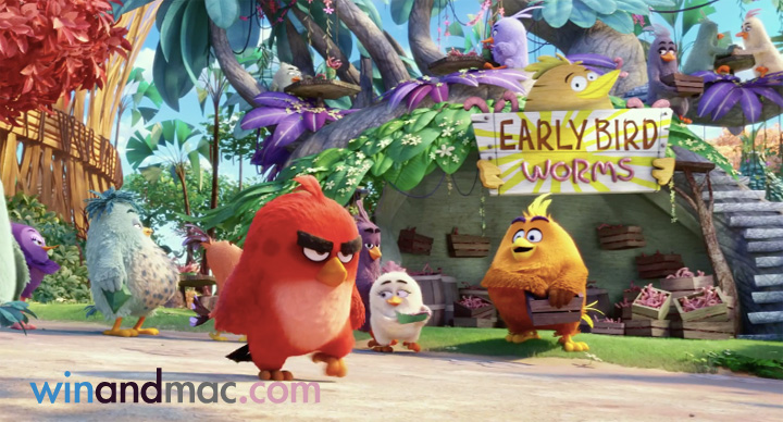 angry-birds-trailer-2016