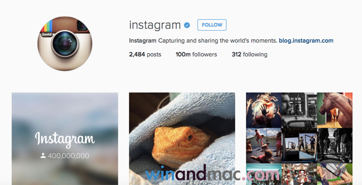 instagram-official-account