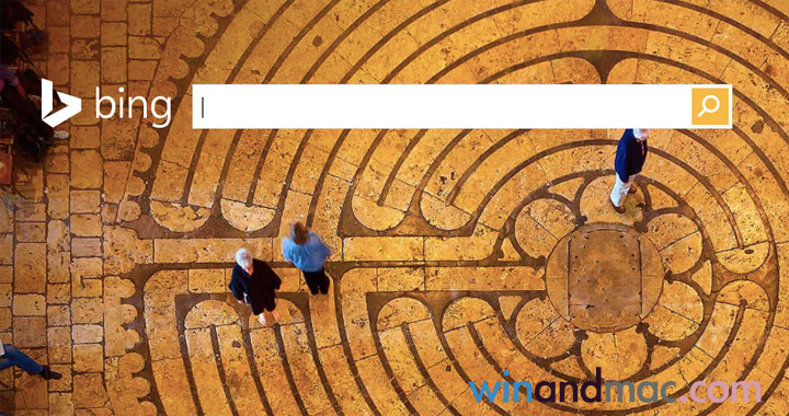 bing-search-main